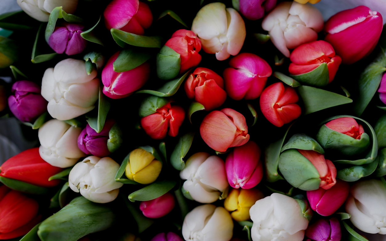 Slideshow image